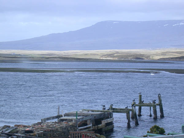 sarlo viajes malvinas